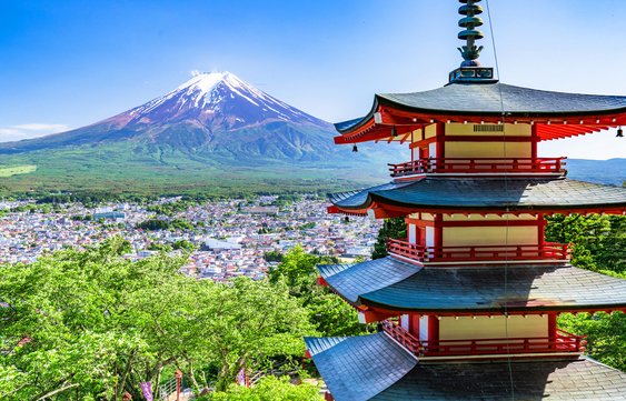 Tokyo Tours